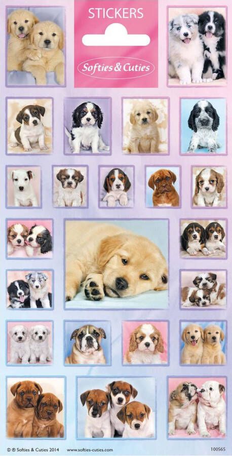 Stickervel Dieren Softies & Cuties Puppies