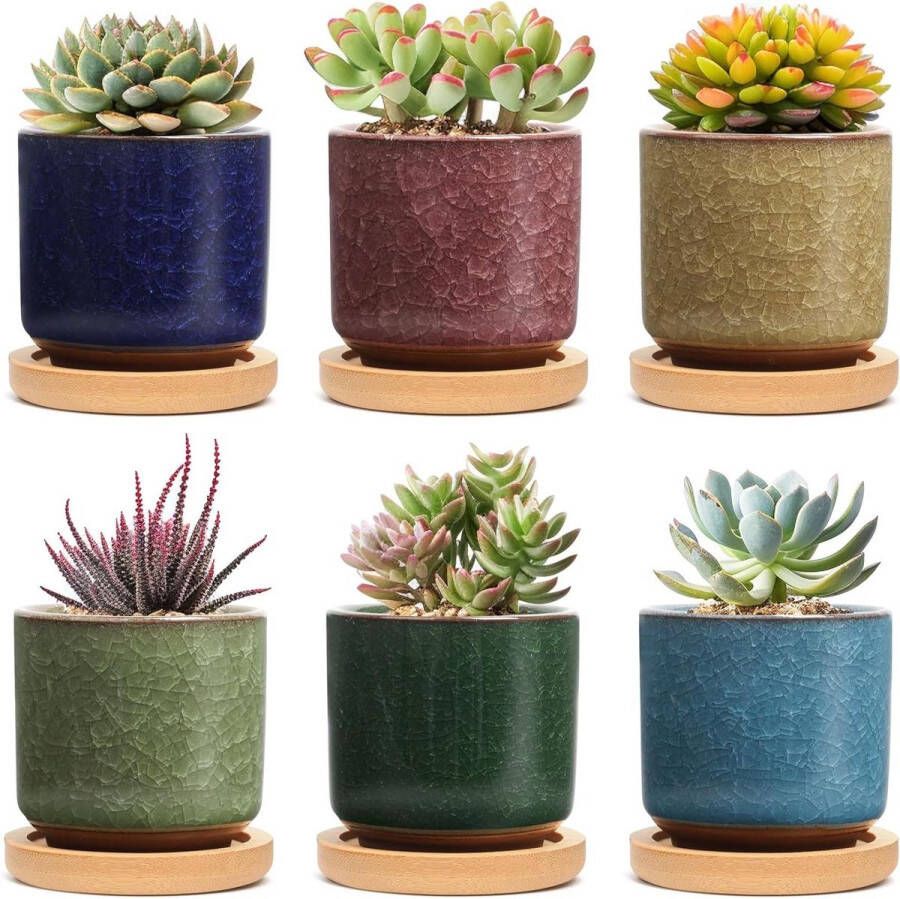 Succulente Plantenpot Set 6 Stuks Gekleurde Keramiek Vetplant Bloempot Bamboe Onderzetter Binnen Klein Cactus Pot met Afvoergat Sappige Aloë Kruid Kamerplant Decoratief Geschenk