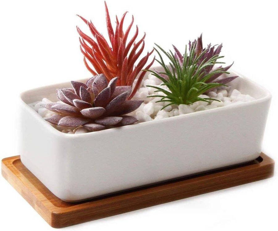 Succulente Plantenpot Set Rechthoek Keramiek Bloempot met Bamboe Onderzetter Binnen Klein Cactus Pot Afvoergat Wit Sappige Aloë Kruid Decoratieve Geschenk 165CM Bloempot