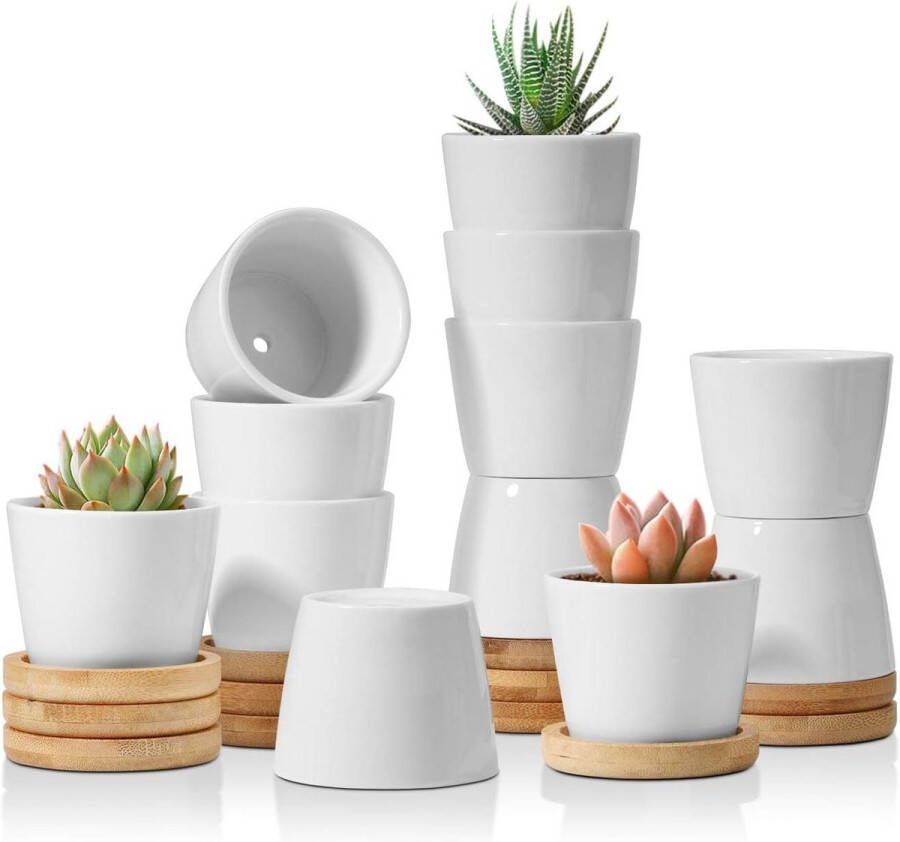 Succulente Plantenpot Set van 12 Ronde Keramiek Vetplant Bloempot Bamboe Onderzetter Binnen Klein Cactus Pot Afvoergat Wit Sappige Aloë Kruid Kamerplant Decoratieve Geschenk