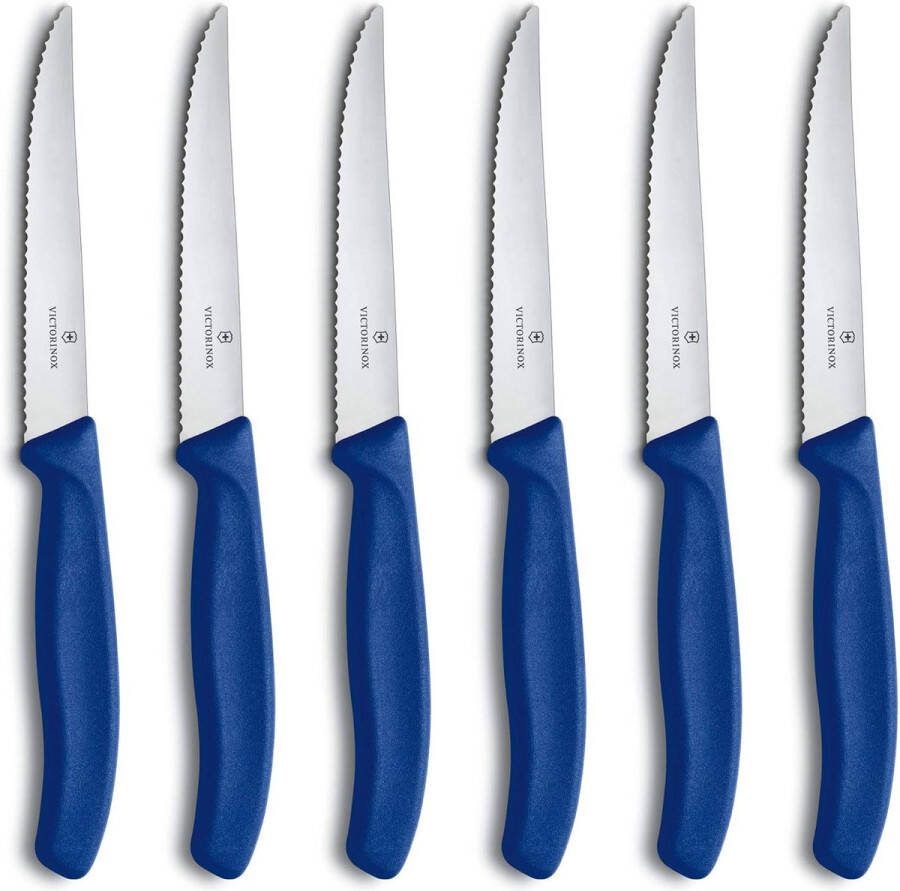 Swiss Classic professionele steakmessenset 6-delig extra scherp lemmet gekarteld 11 cm robuuste kunststof handgreep roestvrij staal blauw