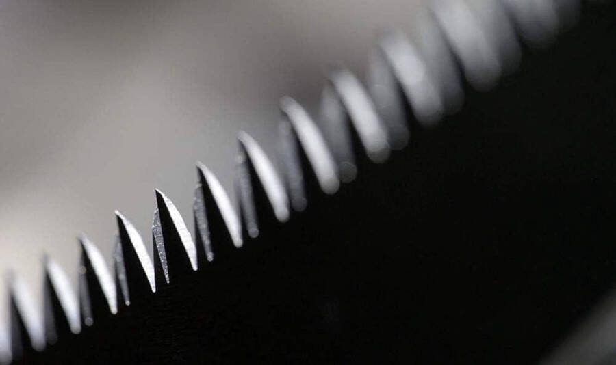 Takkenzaag 61512 met houten handvat Boomzaag met hoogwaardig zaagblad Verwisselbaar garden saw hand