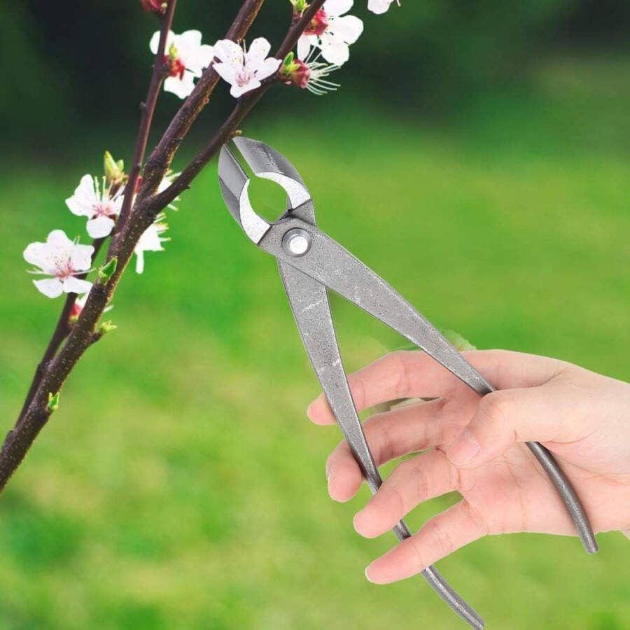 Takknijder bonsai-gereedschap 8 inch concave snijder bonsai-schaar tangen-knoopsnijder bonsai-trimmschaar tuinschaar Japans tuingereedschap