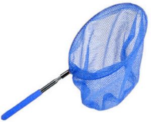 Merkloos Vlindernet insectennet blauw metaal 36 tot 67 cm Telescopisch Vlindernetjes