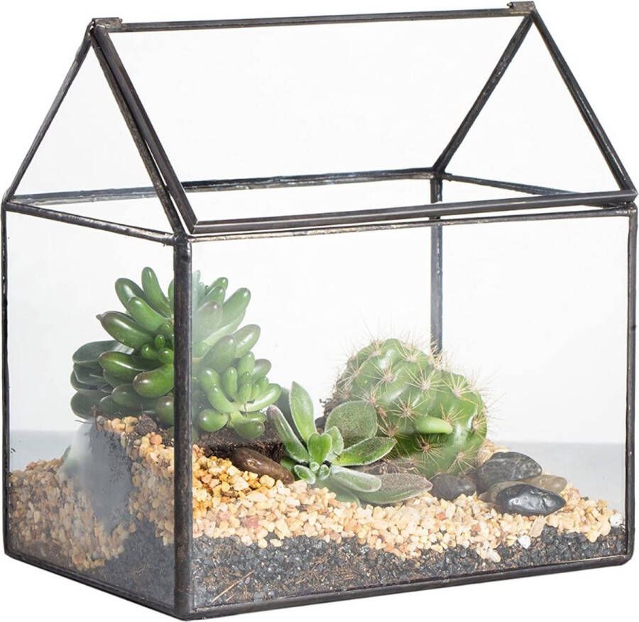 Terrarium Mos 15 5 x 11 x 16 cm Klein Geometrisch Terrarium Huisvorm Glas Afsluitbaar Broeikas voor Vetplanten Mos Varen -Klapdeksel (zonder planten)