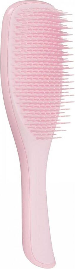 The Wet Detangler Haarborstel Hoofdhuid Massage Borstel Detangler Krullen Detangler Anti Klit Haarborstel Alle Haartypes