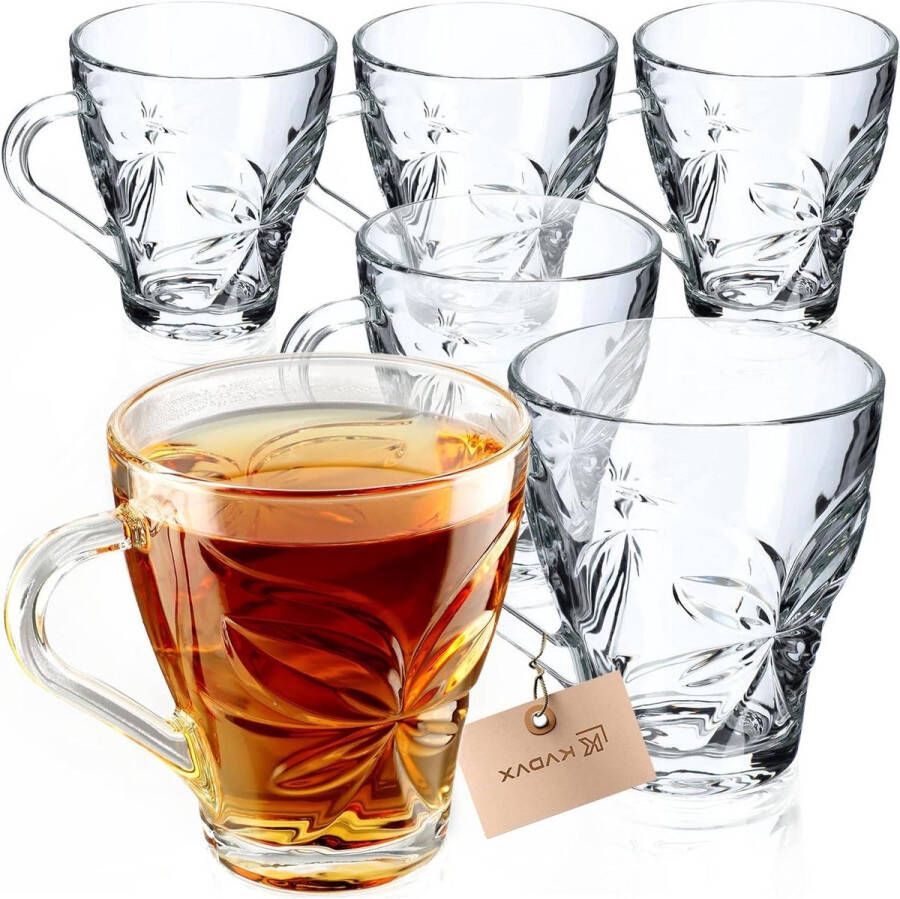 Theeglazen set met oor vaatwasmachinebestendig ook geschikt voor koffie 250 ml 6 stuks dubbelwandige theeglazen