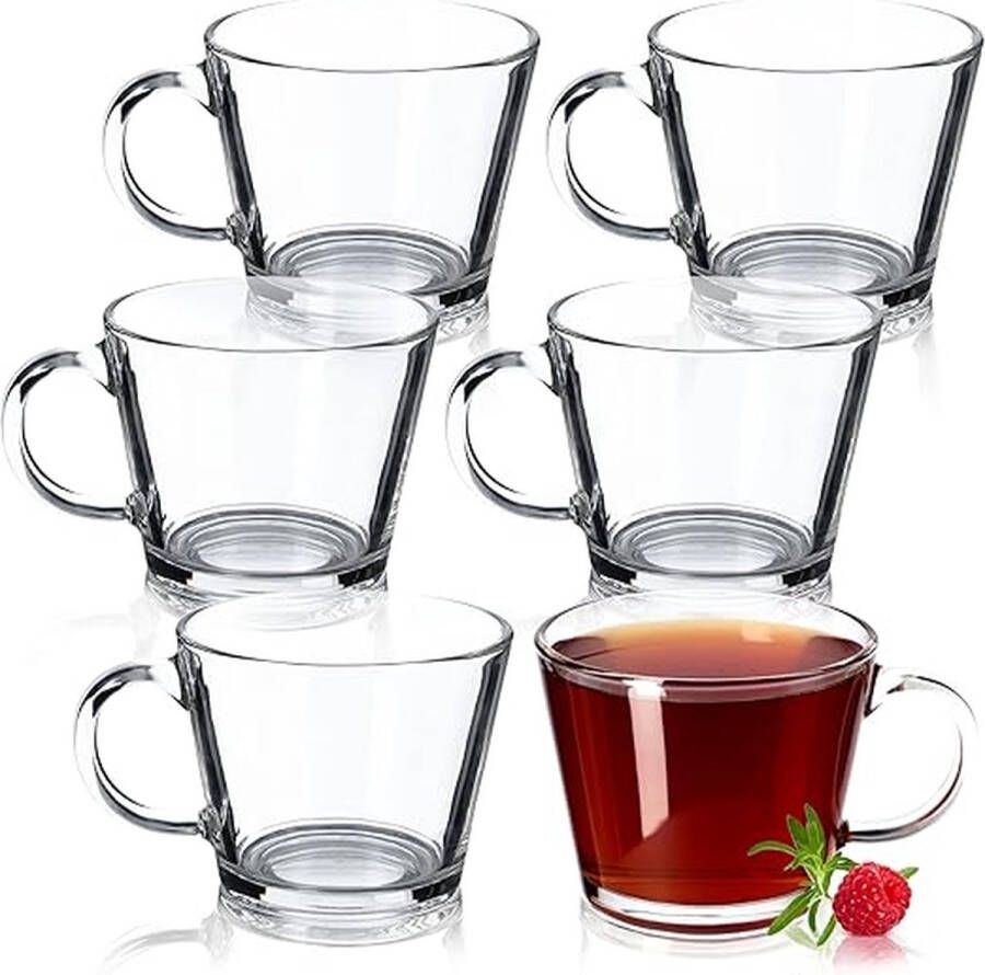 Theeglazen waterglazen met handvat set van 6 glazen kopjes sapglazen glazen voor thee koffie water ijsthee sap drinkglazen koffieglazen (Pia 380 ml)