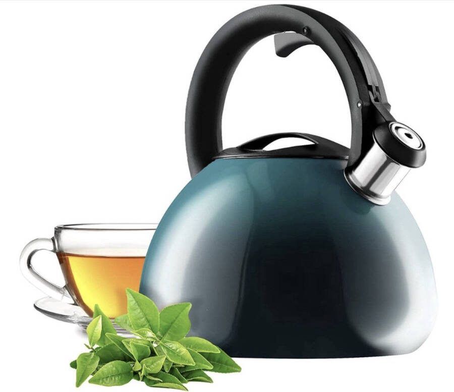 Theeketel roestvrij stalen fluitketel 3 liter waterkoker retro ketel in 3 verschillende Kleur en waterketel met ombre-effect pijpketel
