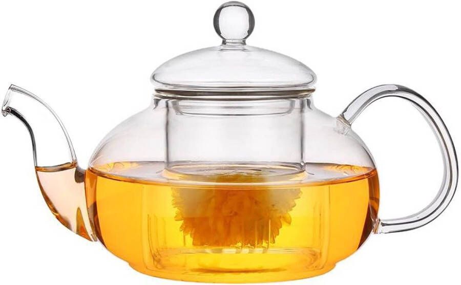 Theepot glas 600 ml borosilicaat theebereider met theefilter hittebestendig en magnetronbestendig voor zwarte thee groene thee vruchtthee geurende thee theezakje losse theefilter