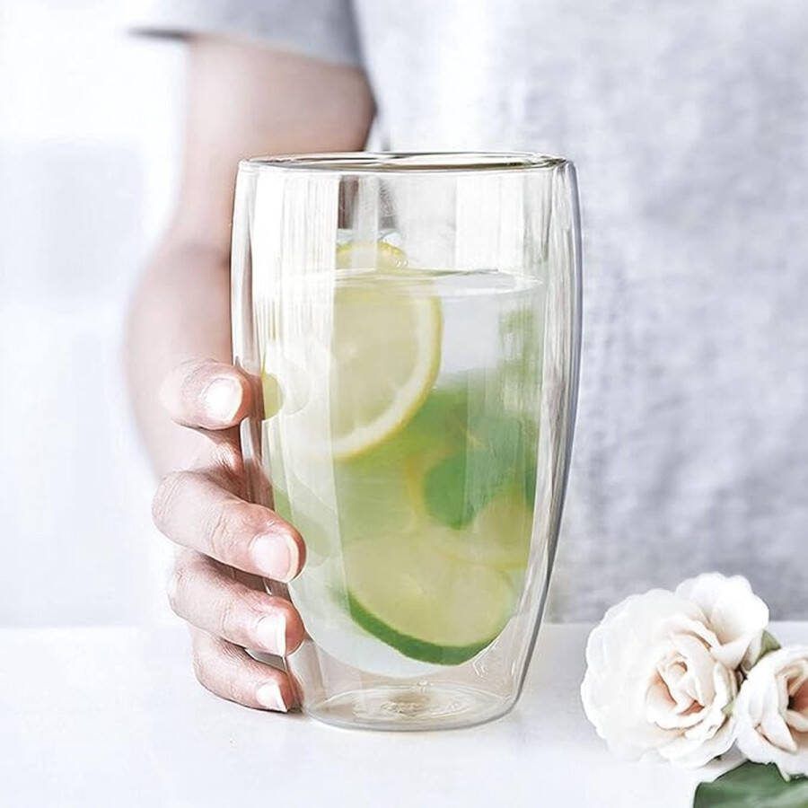 Thermoglazen van borosilicaatglas drinkglazen voor thee koffie cappuccino water sap ijsthee koffieglazen 6 350 ml