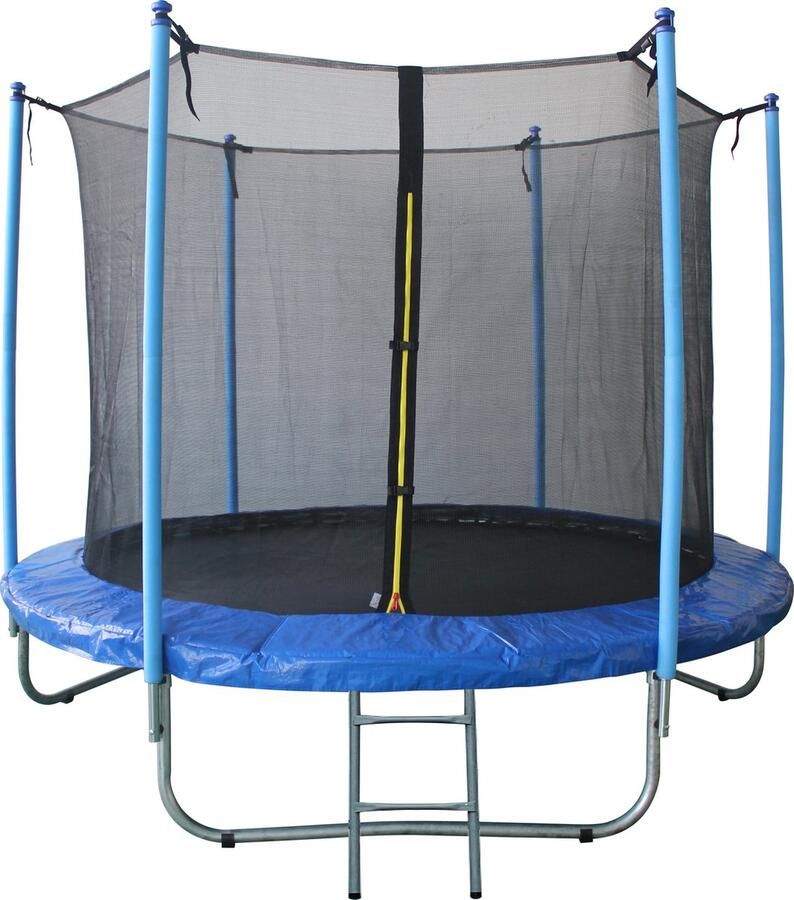 Trampoline met Veiligheidsnet en Ladder Max. 100 kg 244 CM PE Net EPE Schuimkussens