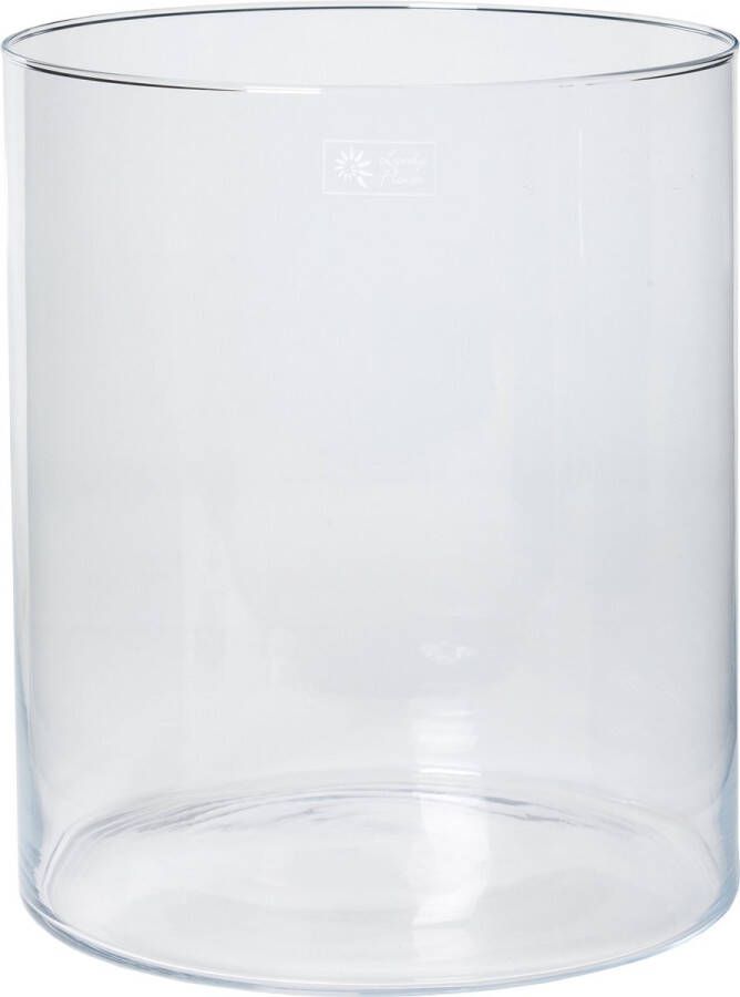 Transparante home-basics Cilinder vaas vazen van glas 30 x 35 cm Bloemen boeketten binnen gebruik