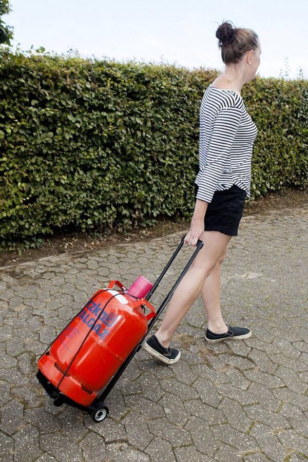 Transportwagen steekwagen transportwagen multifunctionele trolley 45 kg