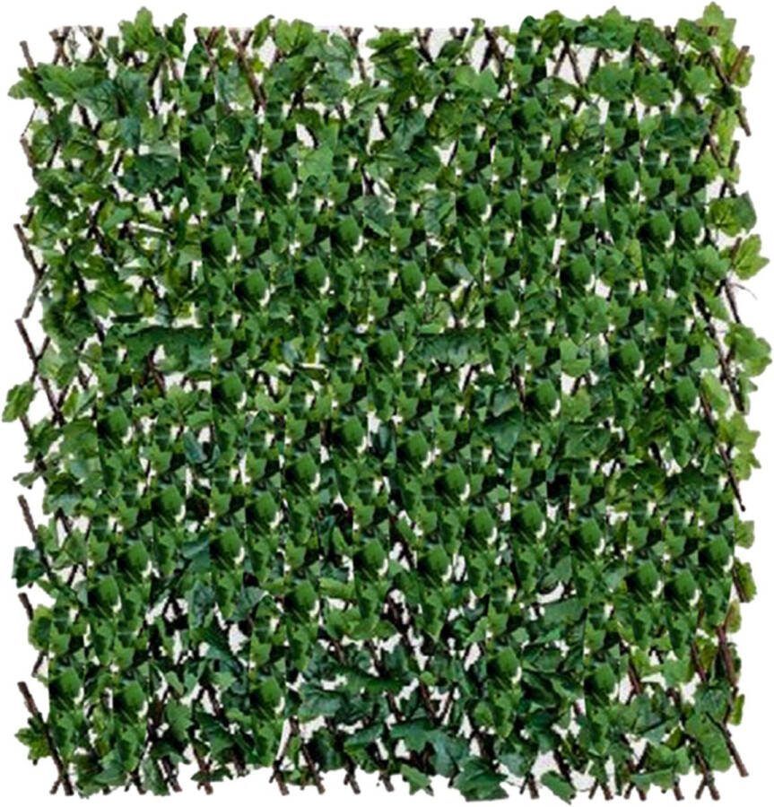 Tuin klimop kunsthaag 4 STUKS Uitschuifbaar tot 180x75cm