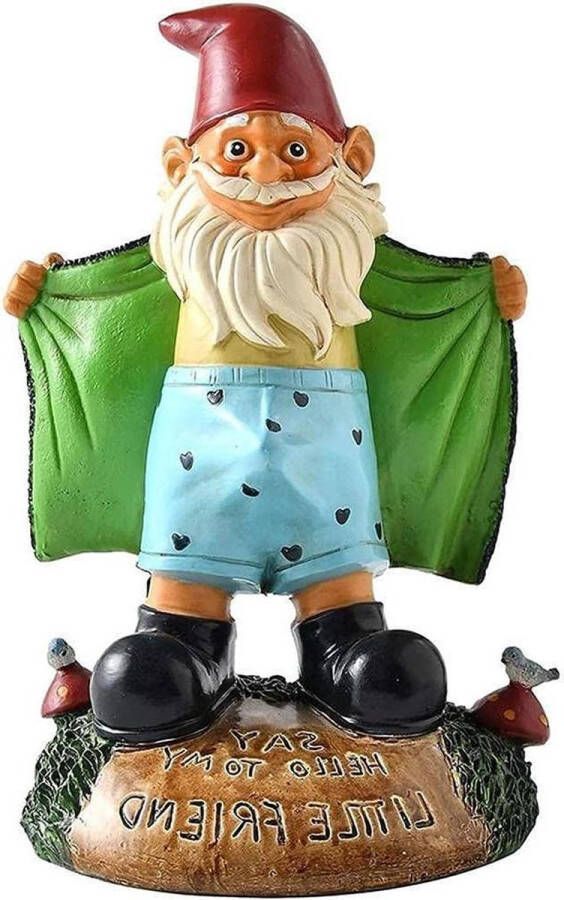 Tuinkabouter Exhibitioniste Hars Standbeeld Grappige Tuinfiguur met Verzamelfiguren
