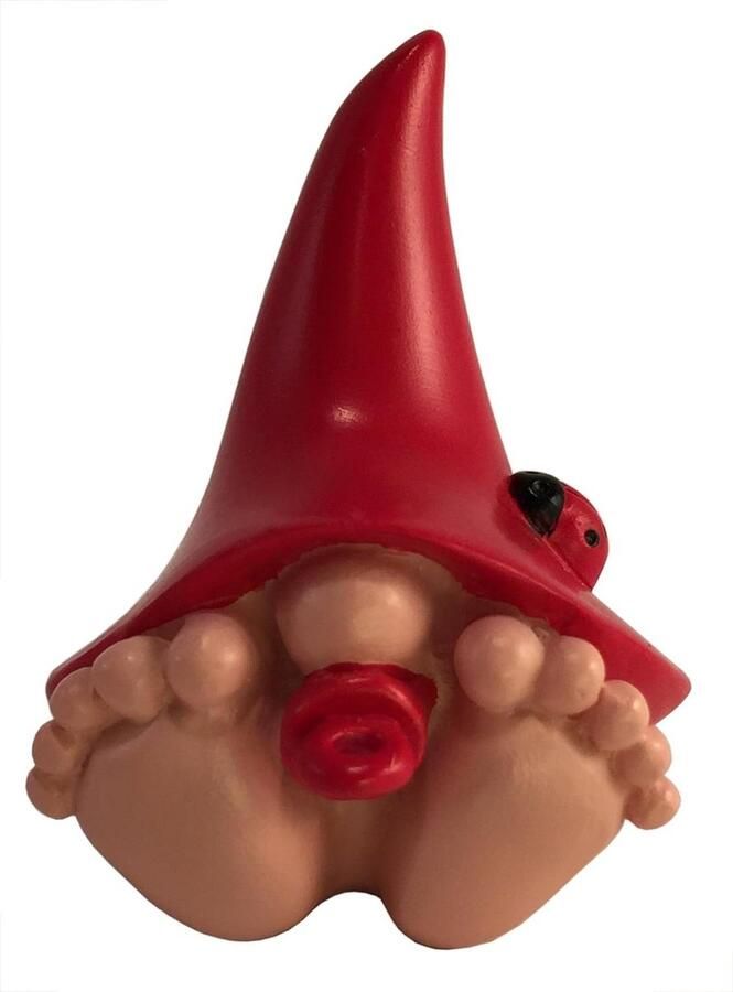 Tuinkabouter Miniatuur Baby Gnome Jasper Rode Hoed Fairy Gnome Garden