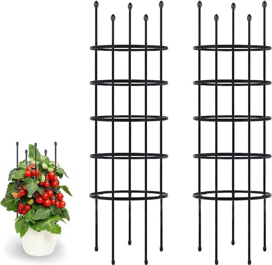 Tuinsteun voor klimplanten vrij te combineren tomaten wijnstokken fruit rozen zwart 2 x H: 160 cm