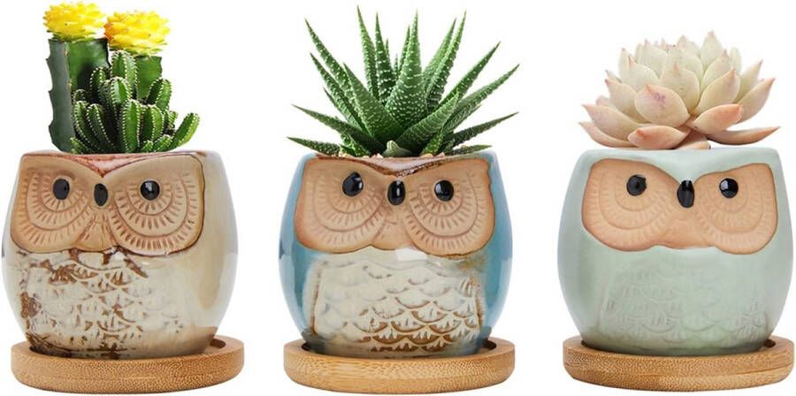 Uil Succulent Plant Potten 6cm Leuke Uil Cactus Planter Animal Plant Pot Kleine Bloempotten met Bamboe Schotel en Drainage Gaten Set van 3 (Planten niet inbegrepen)