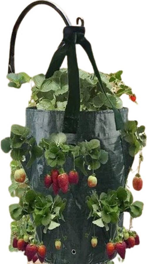 Unieke herbruikbare kweekzak Kweekbak Planten groenten en fruit 10 liter 3 Gallon Tuinieren Planten zak