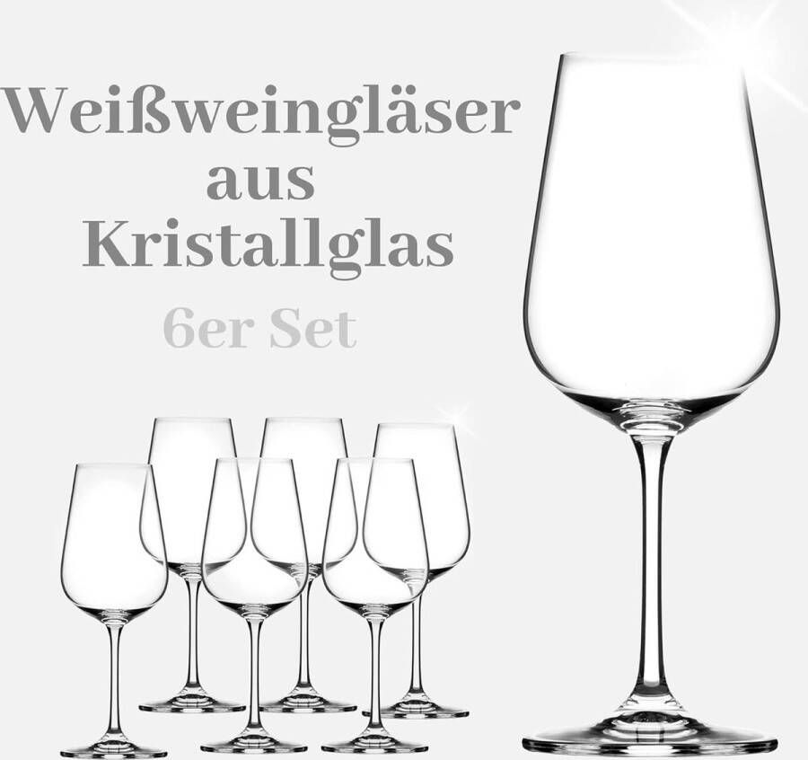 Vaatwasmachinebestendige Tritan-kristalglazen Luxe Wijnglazen set of 6