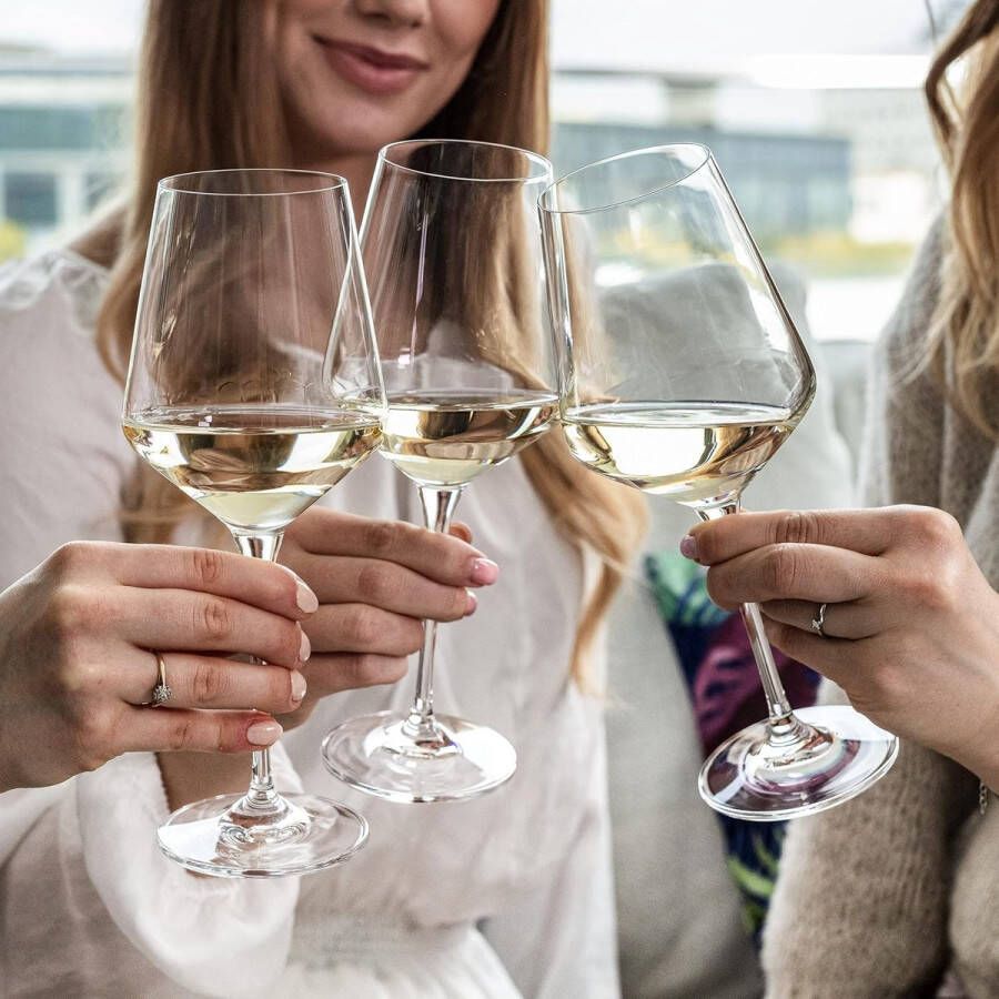 Vaatwasmachinebestendige Tritan-kristalglazen Luxe Wijnglazen set of 6