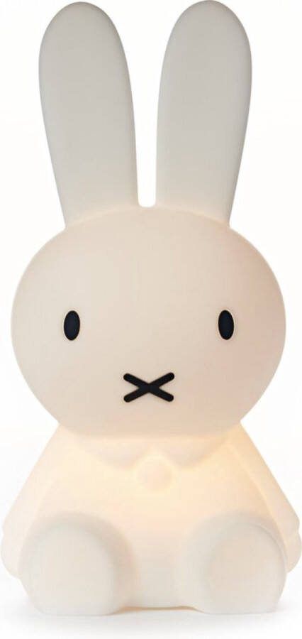 Verkoop Nederland Leuke 3D-Nachtlampje Kawaii Anime Cartoon Bunny Oogbescherming Oplaadbare bureaulamp Slaapkamer Kinder Bedlampje Kamplamp Remote Control28CM