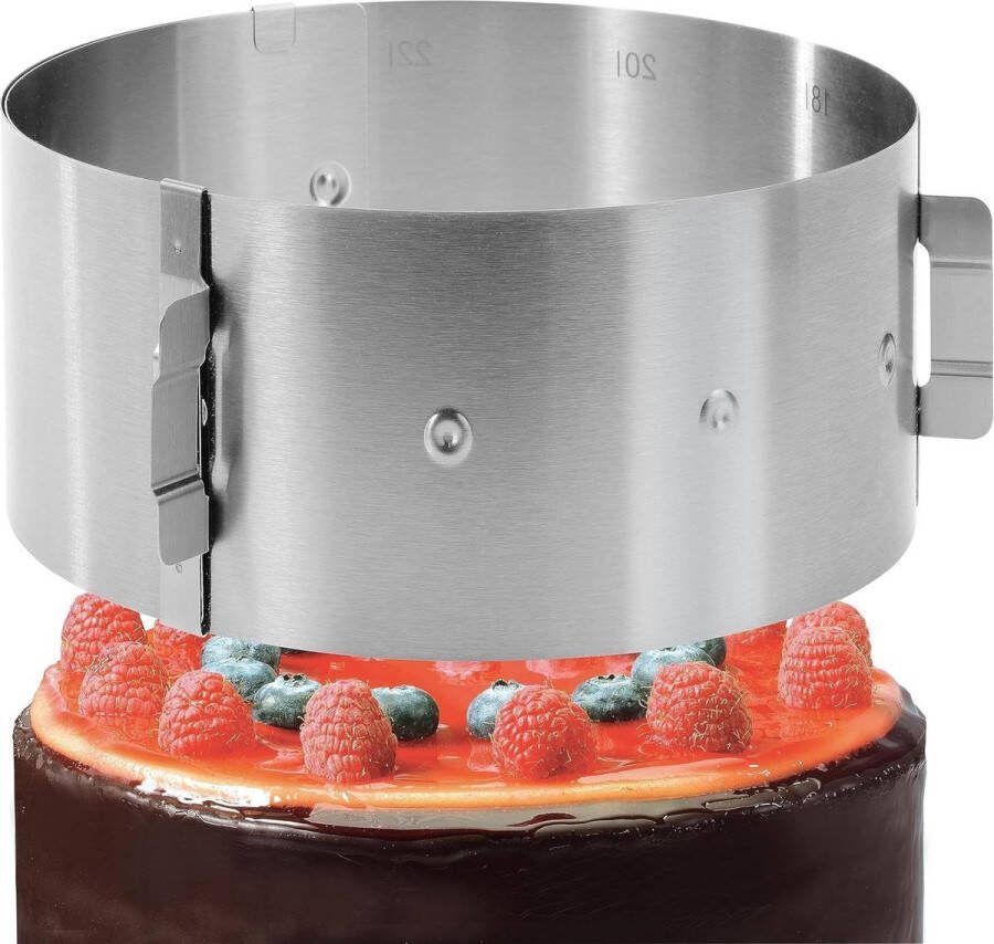 Verstelbare Taartring Hoog 10cm Roestvrij Staal Bakring Vormvaste Taartvorm met Vergrendeling Cake ring