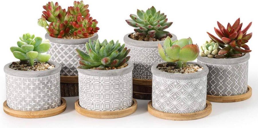 Vetplant Bloempot Set van 6 Cement Succulente Plantenpot Bamboe Onderzetter Ronde Cactus Pot Grijs Sappige Aloë Kruid Decoratief Geschenk