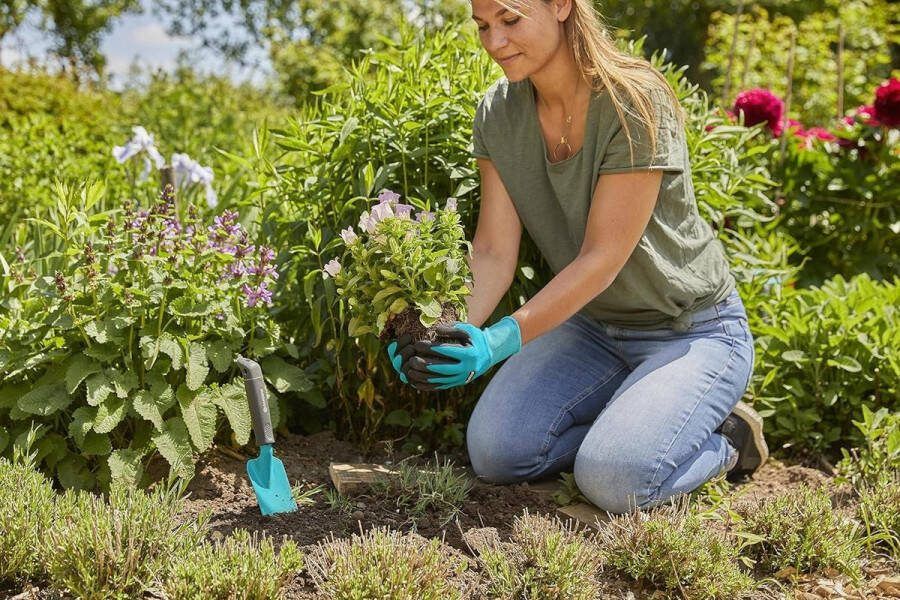 Vierdelige tuinset voor tuinonderhoud: universele tuinschaar bloemenschop onkruidsteker tuinhandschoenen 8 M (8965-30) Tuinset