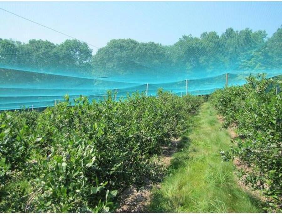 Vijvernet vogelnet met pluggen 4 m x 10 m