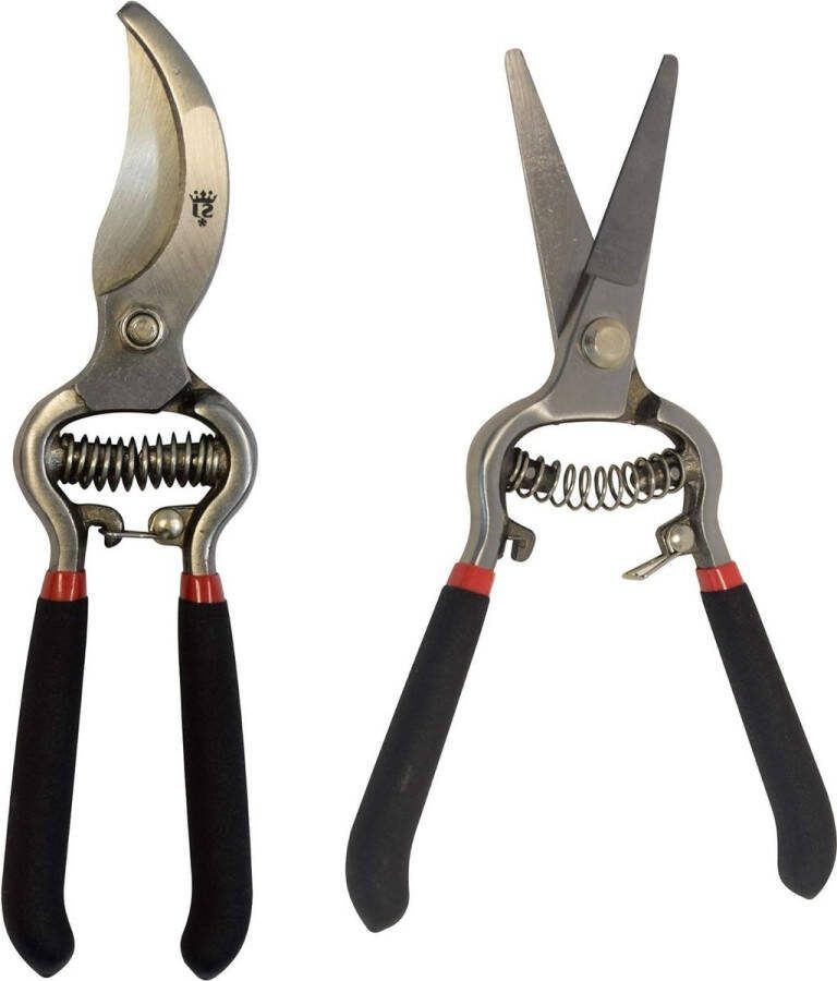 Vintage Bypass snoeischaar en knipsel Set Klassieke tuinschaar
