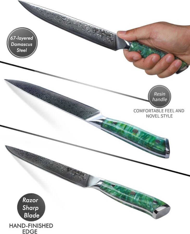 Vleesmes Damastmes Trancheermes 23 cm Professioneel scherp Keukenmes 67 lagen Japans damaststaal VG10 met Hars Handvat Xuan serie(Jadeët Groen)