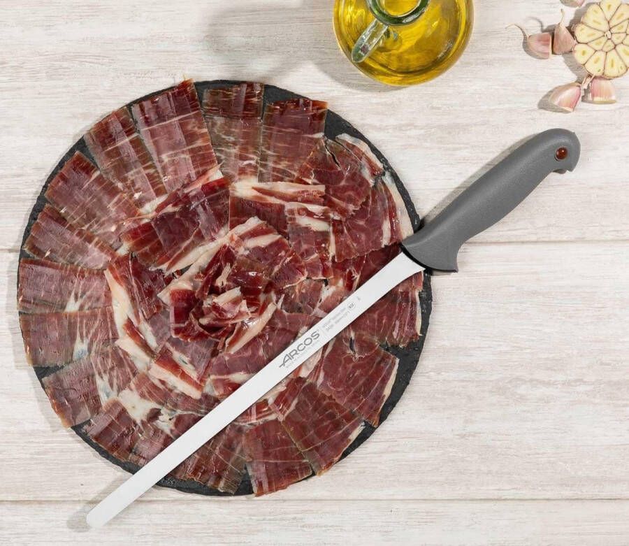 Vleesmes Prof Nitrum 242600 roestvrij staal en polypropyleen ergonomische handgreep 30 cm cover-display brisket slicing knife