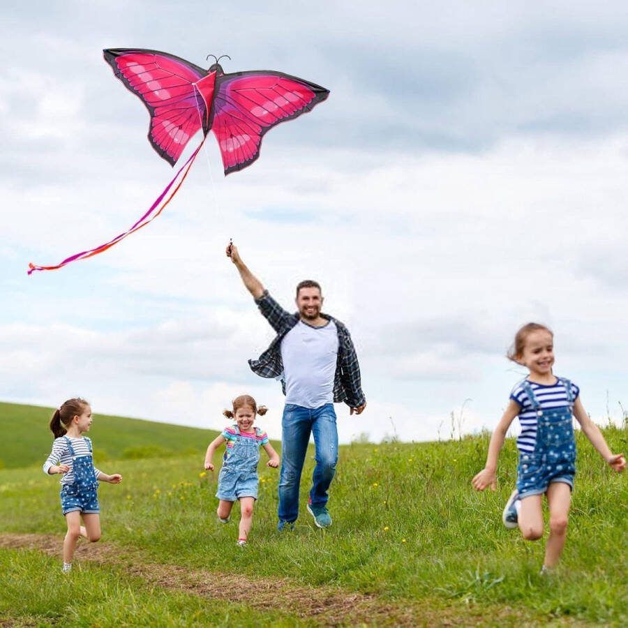 Vlieger Kindervlieger en volwassenen 140 x 71 cm Lichte wind vliegerset Enkele vlieger Outdoor Strandvlieger Roze Met vliegerkoord en lange staart