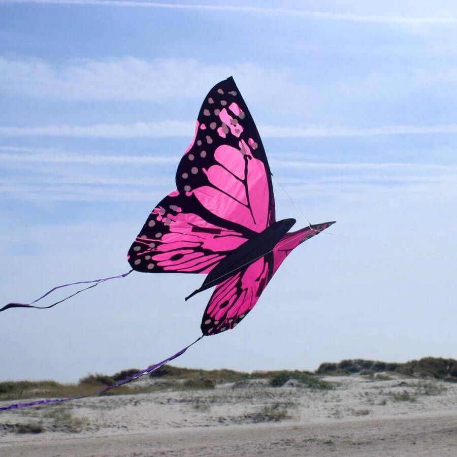 Vlieger voor kinderen speelgoed voor kinderen kite summer vlieger zomer wind