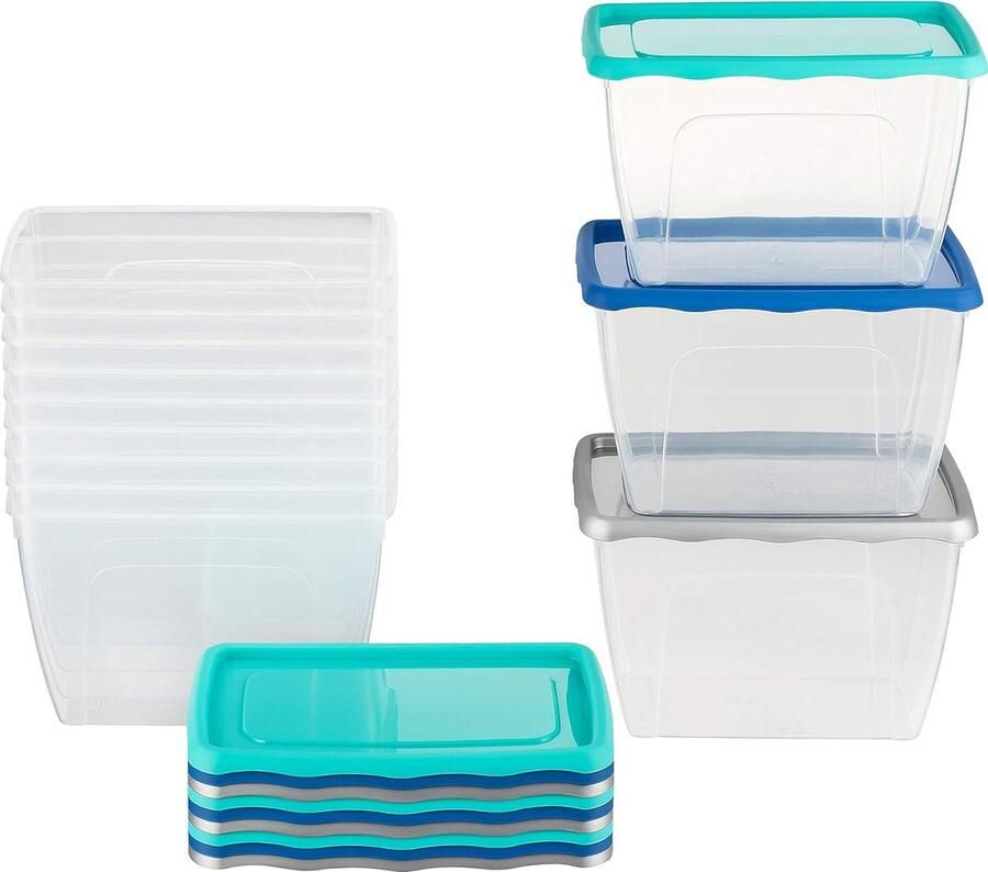 Voedselopslagcontainers met etiket [Vlees Vis Groenten]) sets