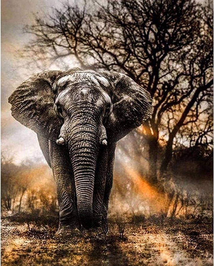 Volledige Boor Olifant 5D Diamond Painting Kit DIY Kunst Ambachtelijke Benodigdheden voor Thuis Wanddecoratie 30 x 40 cm Diamond painting
