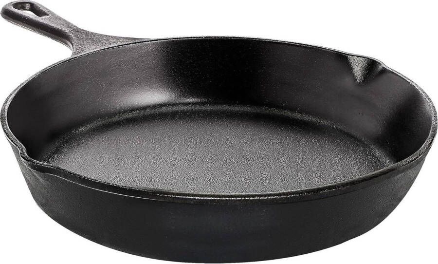 Voorgekruide gietijzeren pan voor steak en grillen braadpan voor binnen en buiten (20 cm)