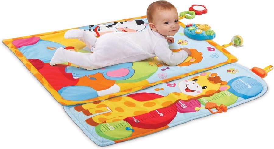 Vtech Baby 2-in-1 speelmat 80-505504