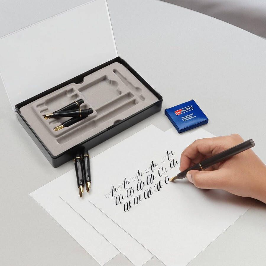 Vulpen Kalligrafie Set met 6 Punten Cartridges en Inkt Adapter (14 Stuks) – Schrijven Vulpen met Blauwe Inkt – Perfecte Geschenk voor Beginners en Experts