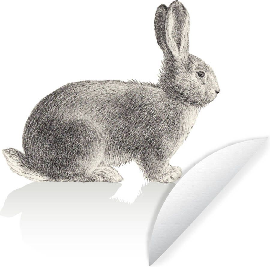 WallCircle Muurstickers Behangcirkel Illustratie van het konijn op witte achtergrond ⌀ 120 cm Muurcirkel Zelfklevend Ronde Behangsticker XXL