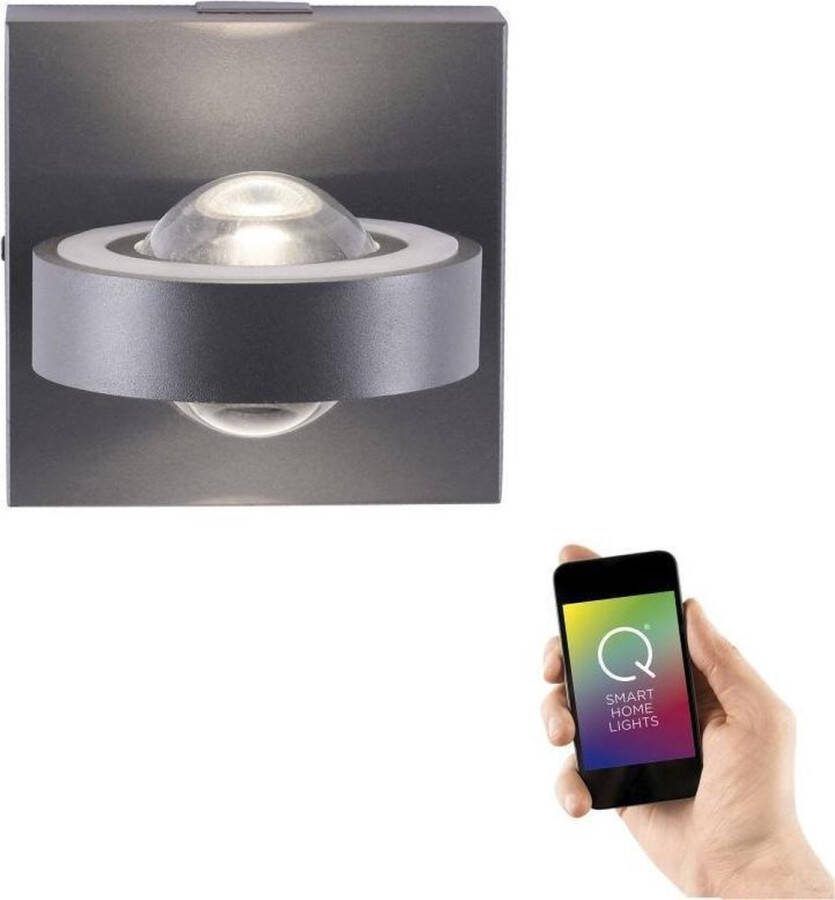Paul Neuhaus Wandlamp Q-MIA Antraciet Led Smart Home