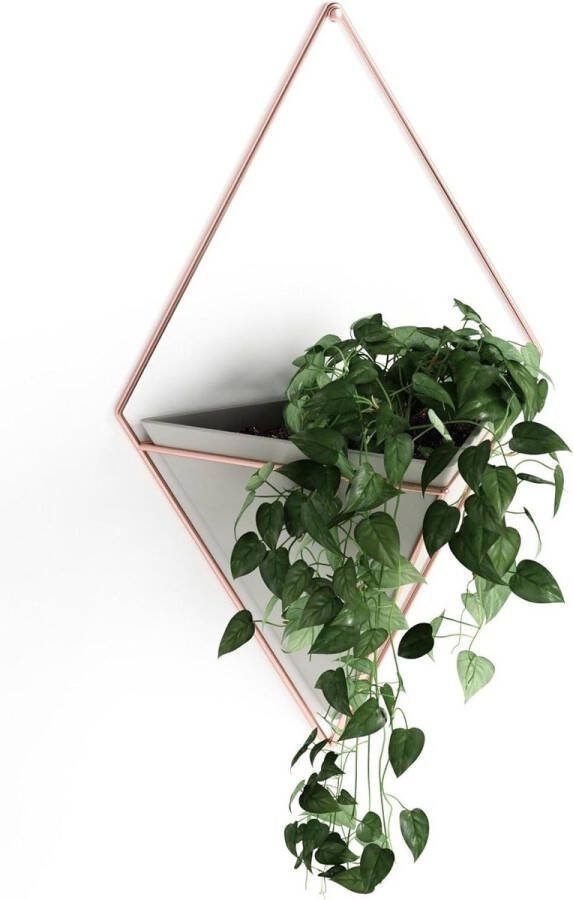 Wandvaas en geometrische decoratie Umbra Trigg plantenbak voor kamerplanten vetplanten luchtplanten cactussen kunstplanten beton koper groot formaat 1 stuk