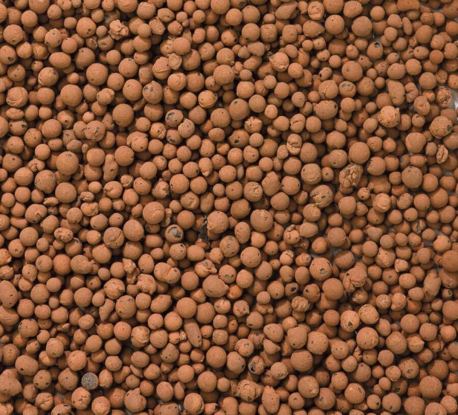 Warentuin Mix Hydrokorrels 10 L (3 1 kg)