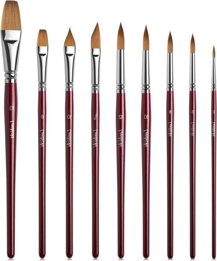 Watercolor Brushes Set 9Pcs Professional Artists Brush Set with Sable Hair Pointed Round Tip Cat's Tongue Flat Dagger Brush for Acrylic Ink Gouache Tempera