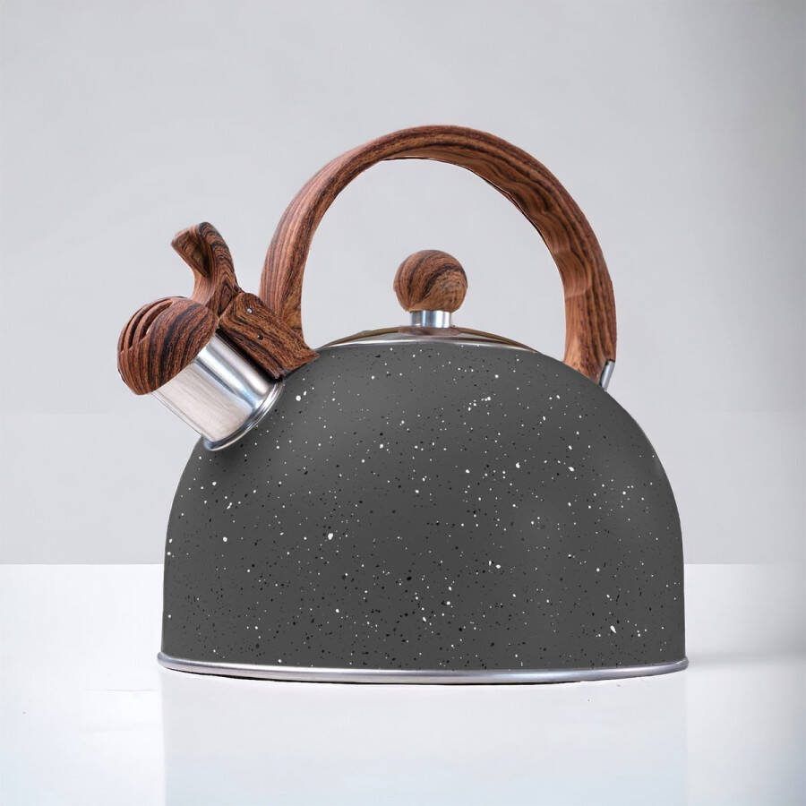 Waterkoker Roestvrij Staal Retro Vintage en Elegante Stijl Lichte Boiler met Ergonomisch Handvat en Waarschuwingsfluit Geschikt voor Alle Soorten Keukens 2 5L BPA-Vrij (Grijs)