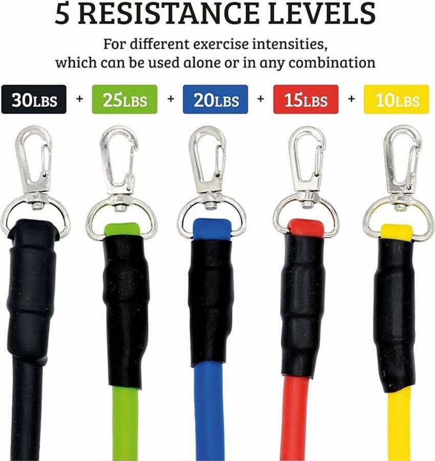 Weerstandsbanden Fitness Set 5