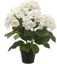 Merkloos Sans marque Witte hortensia kunstplant in kunststof pot 40 cm Hydrangea Macrophylla Woondecoratie accessoires Kunstplanten Nepplanten Hortensia planten in pot - Thumbnail 1