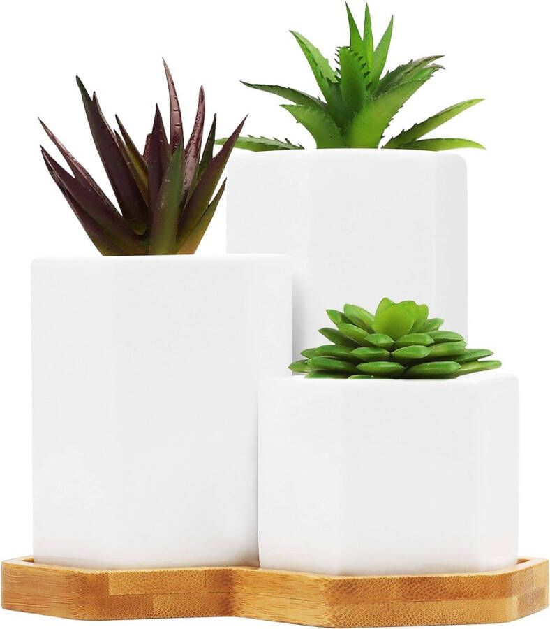 Witte kleine bloempotten voor vetplanten met bamboedienblad verpakking van 3 stuks kleine middelgrote en grote bloempotset met afvoergaten voor kantoor indoor tafel en outdoor tuin